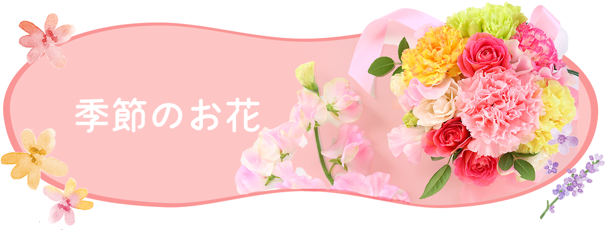季節のお花