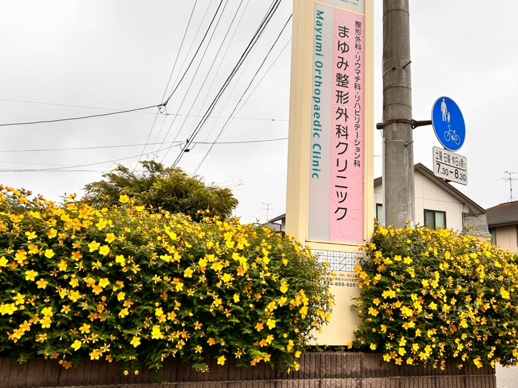 季節のお花　2022年　晩秋