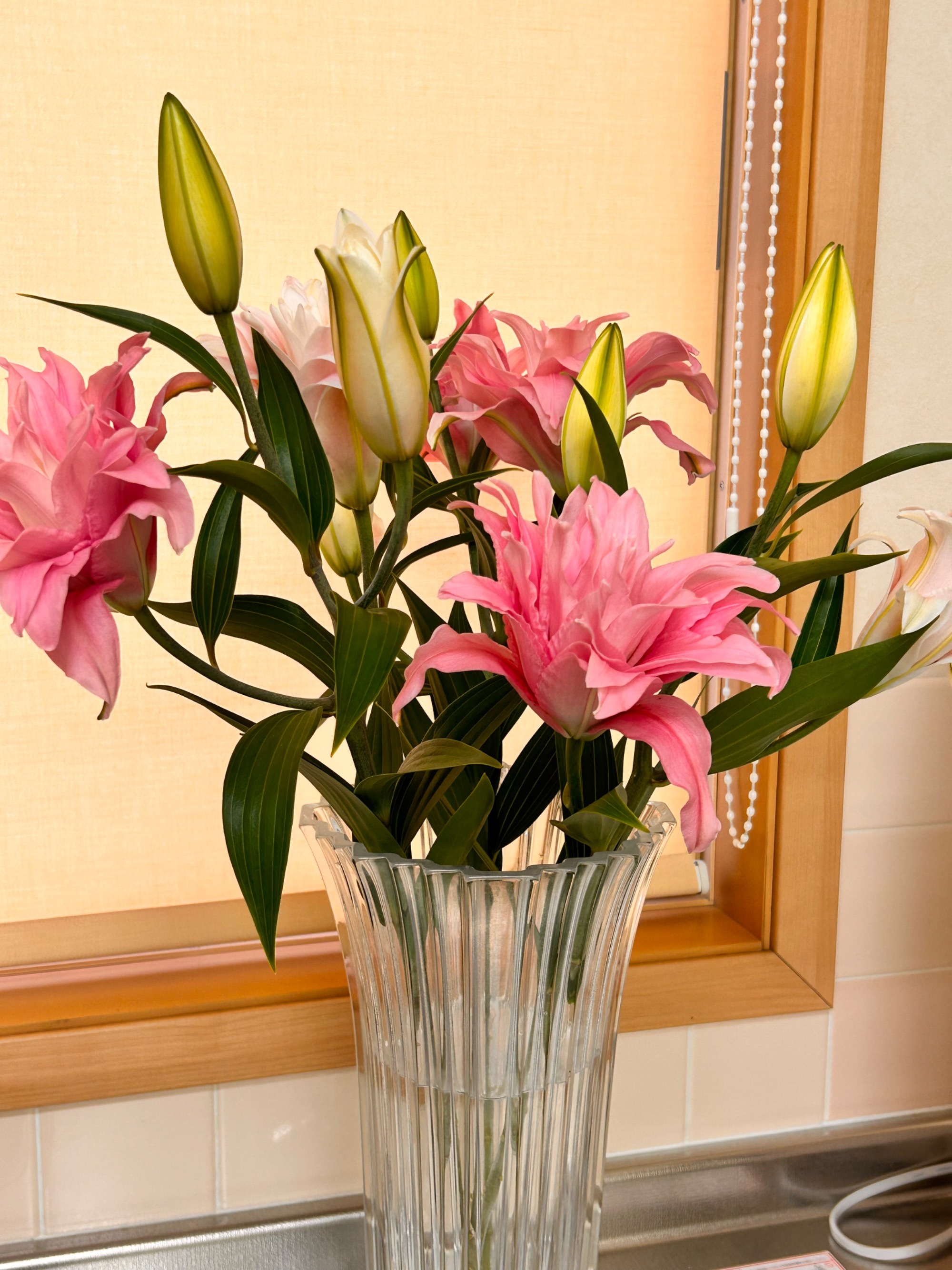 季節のお花　2022年　晩秋