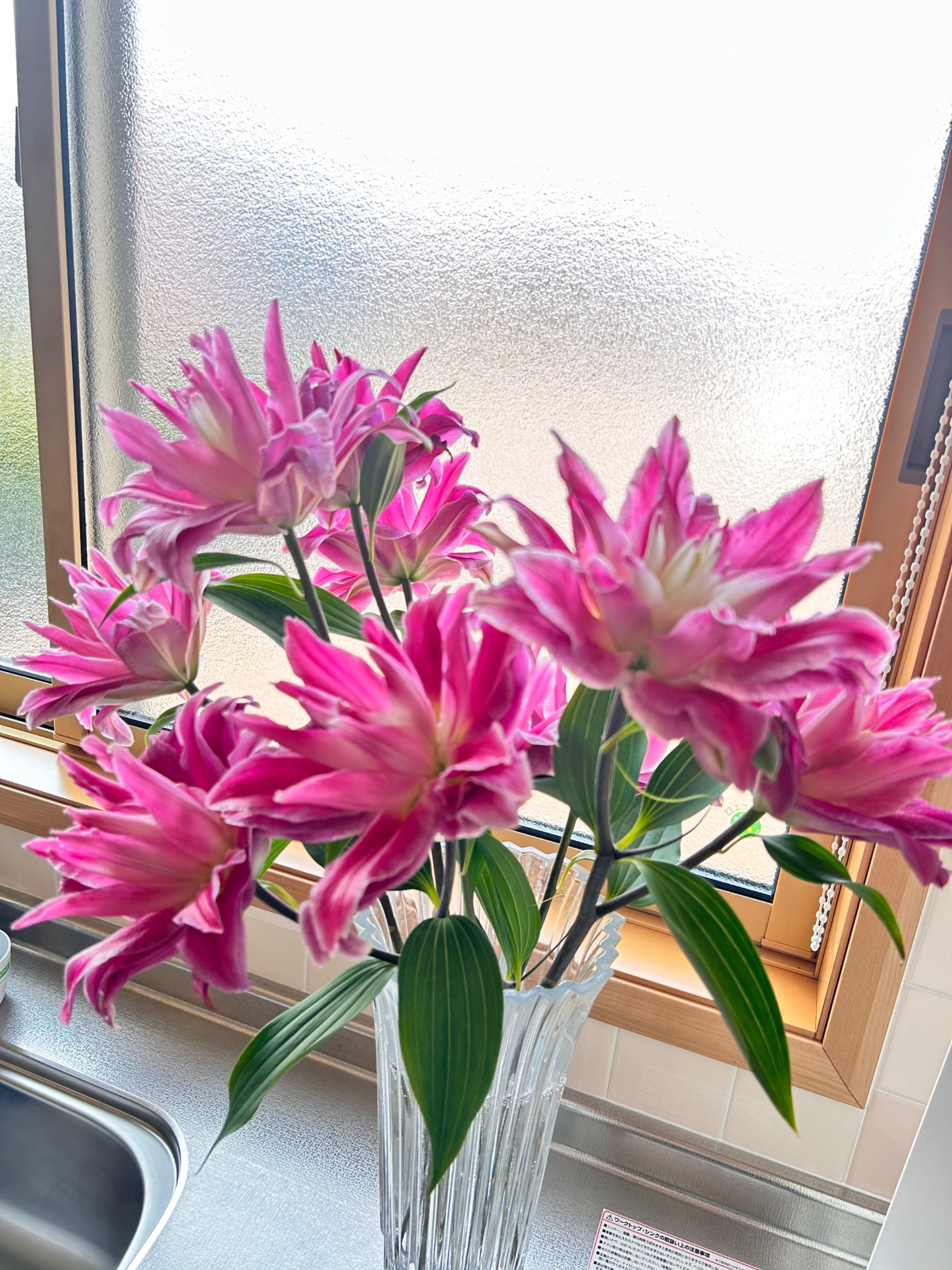 季節のお花　2022年　晩秋