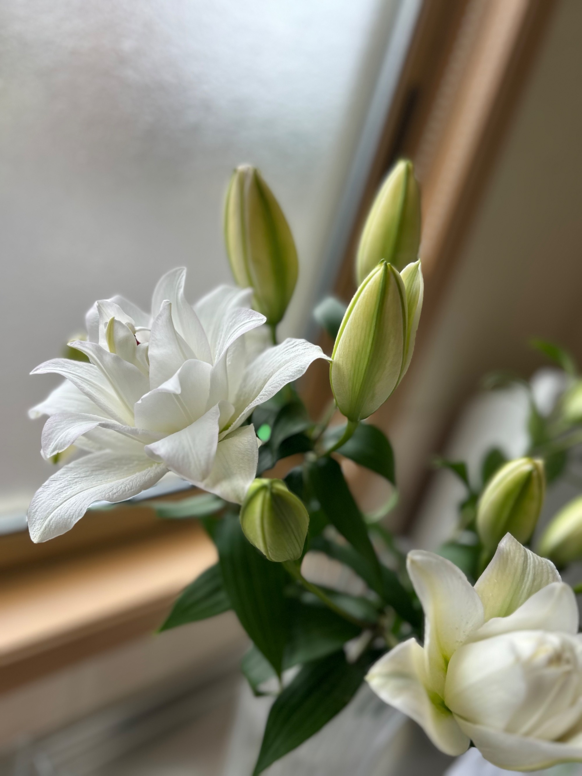 季節のお花　2022年　晩秋