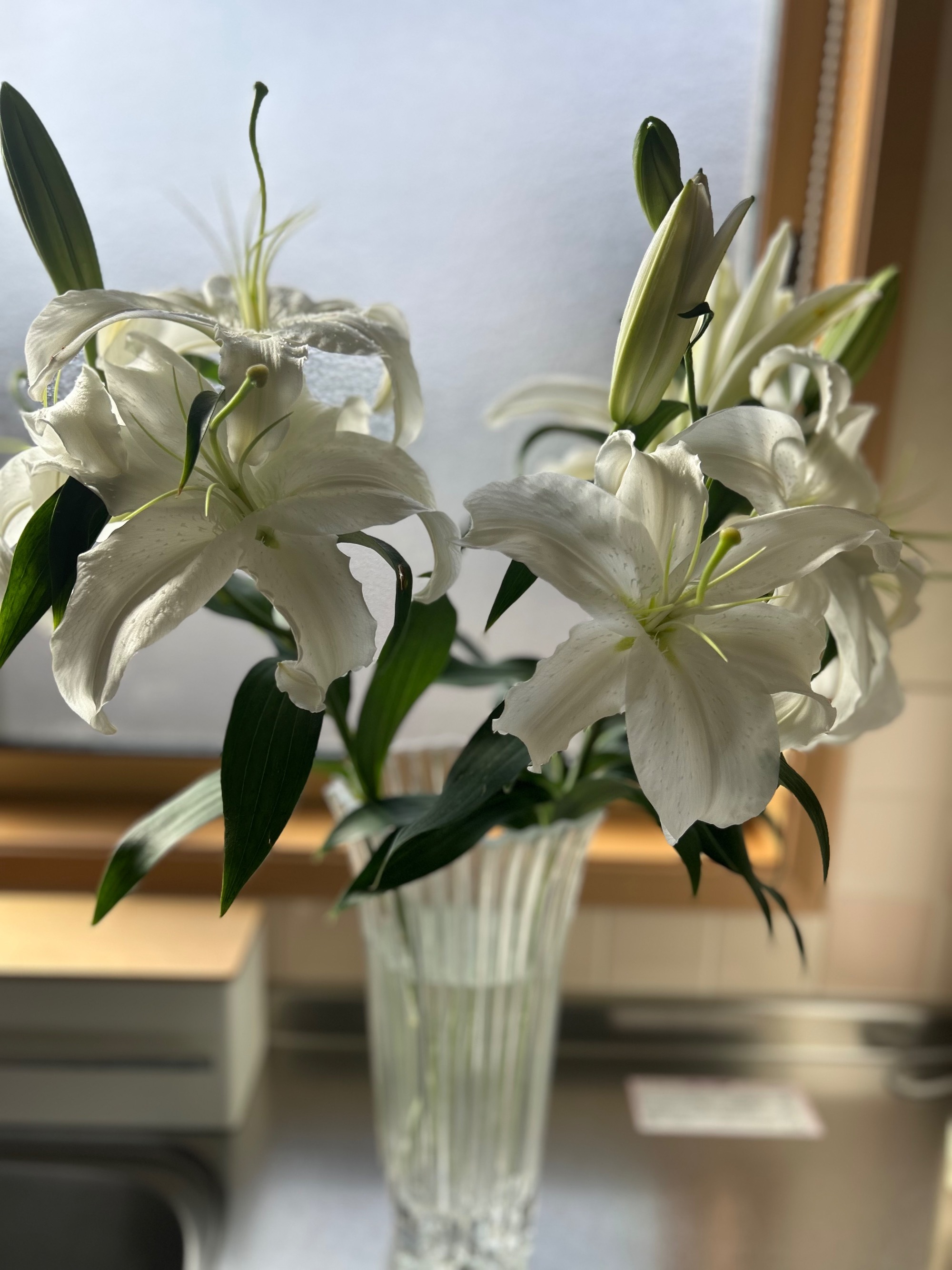 季節のお花　2022年　晩秋