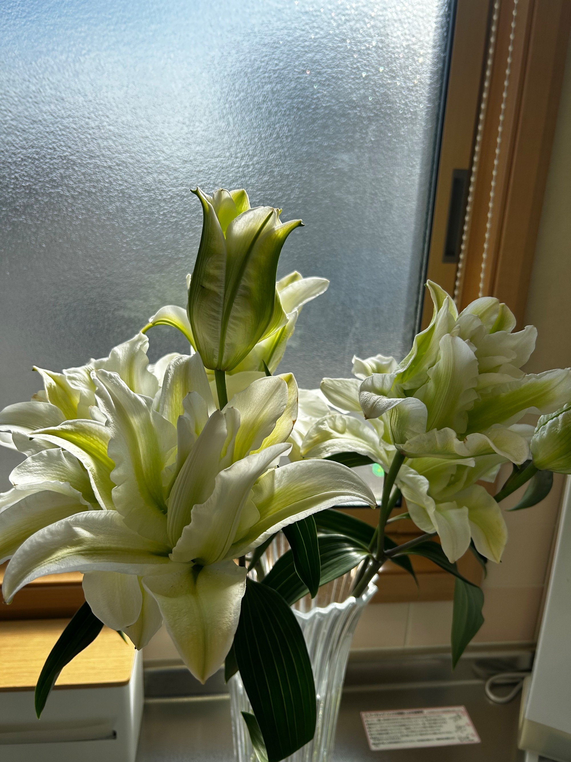 季節のお花　2022年　晩秋